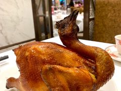 手撕童子烧土鸡-稻香酒家(天河城店)