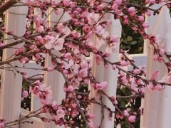-朝阳公园