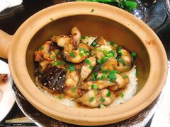 -红星光发煲仔饭(文海店)