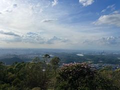 -水濂山森林公园