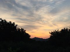 夕阳很美-小慧大桃观光采摘园