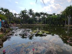 -中国科学院西双版纳热带植物园