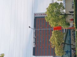 -复旦大学附属儿科医院
