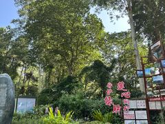 -三门江国家森林公园