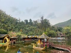 -西双版纳原始森林公园