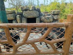 -森波拉奇妙世界