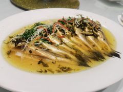 野生黄鱼-瑞福园联谊餐室(茂名南路店)