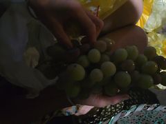 -马陆小张葡萄园农家乐