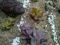 -瓦库茶馆17号(海汇港店)