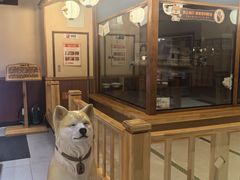 -大江户·温泉洗浴(浑南店)