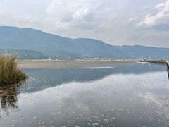 -腾冲北海湿地