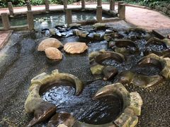 -成都市活水公园