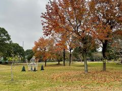 -同里湖大饭店-怡景轩中餐厅(同里古镇店)