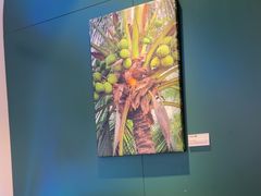 -烹然四季椰子鸡火锅(姚家园万象汇店)