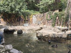 -燕塞湖鸟语林景区