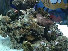 -太平洋海底世界