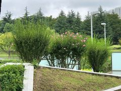 -白塘生态植物园