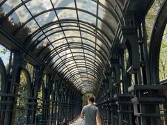 -合肥滨湖国家森林公园