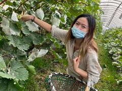 -马陆小张葡萄园农家乐