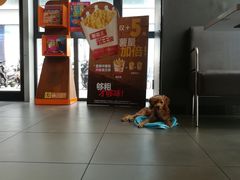 大堂-汉堡王(金鹰天地广场店)