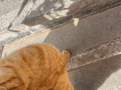 -终南山南五台景区