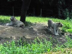 -杭州野生动物世界