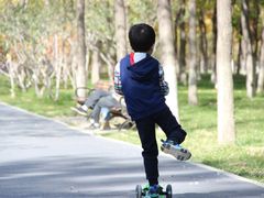 -大兴滨河森林公园