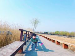 -绿堤公园