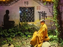 -印象普陀