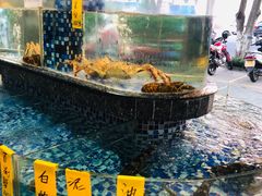 -晶莹品鲜.顺德鱼生.特色桑拿菜