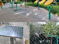 -莲花池公园