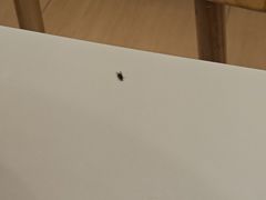 -鸭得堡老鸭汤·鸭血粉丝(南京博物院店)