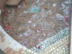 -三亚珠江南田温泉度假区