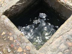 -宋井风景区