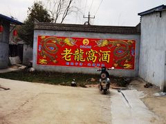 -户县老龙窝酒厂