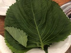 -比尔森韩式烤肉自助(国商店)