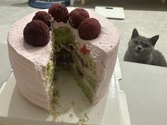 -勒甜LO CHO·定制低糖代糖纯动物奶油生日蛋糕(新开路店)