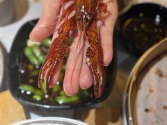 -巴厘龙虾·榜首油焖大虾(音乐学院·沿江酒馆店)