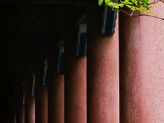 -广东圆玄道观