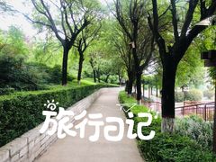 -西安汉城湖景区