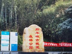 -羚羊峡古栈道森林公园