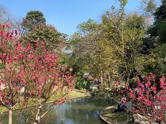 -广州市白云山风景名胜区