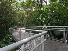 -佛山华盖山公园