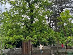 -九华山风景区月身宝殿