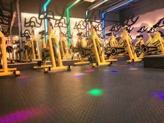 -金吉鸟健身游泳