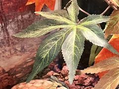 -上海海洋水族馆