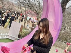 -香雪海