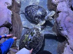 -南昌海洋公园