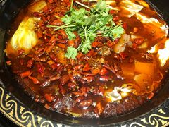 受气牛肉-受气牛肉·重庆耙牛肉(南坪总店)