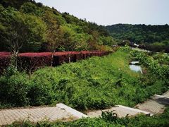 -龙寺生态园